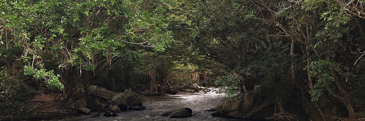 Jorge Mario Botero banner