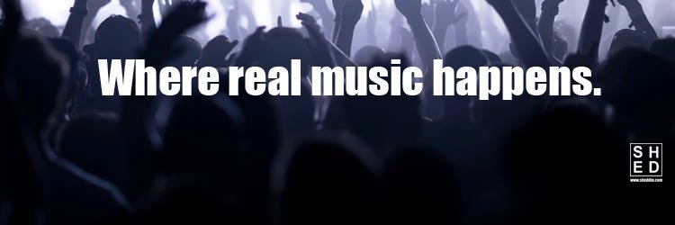 SHEDDIN MEDIA banner
