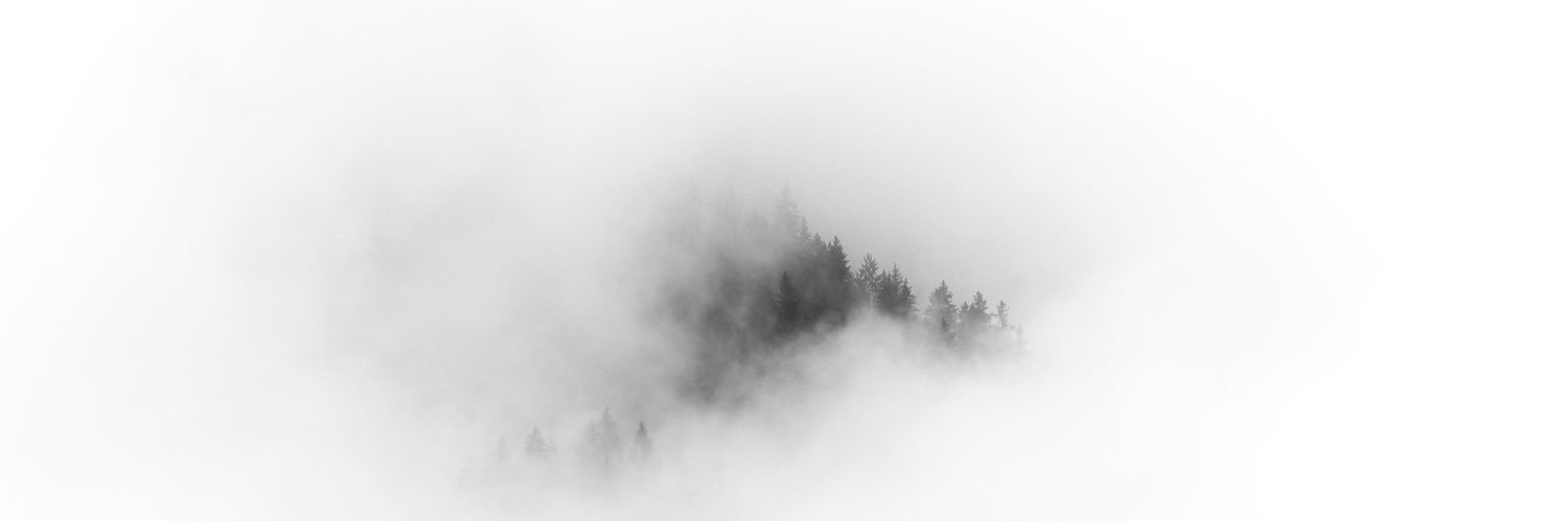 bystrytska's profile banner image