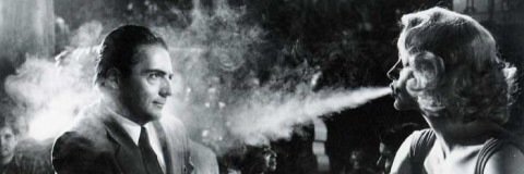 DaniTasters's profile banner image