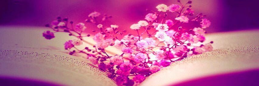 _danidepaula's profile banner image