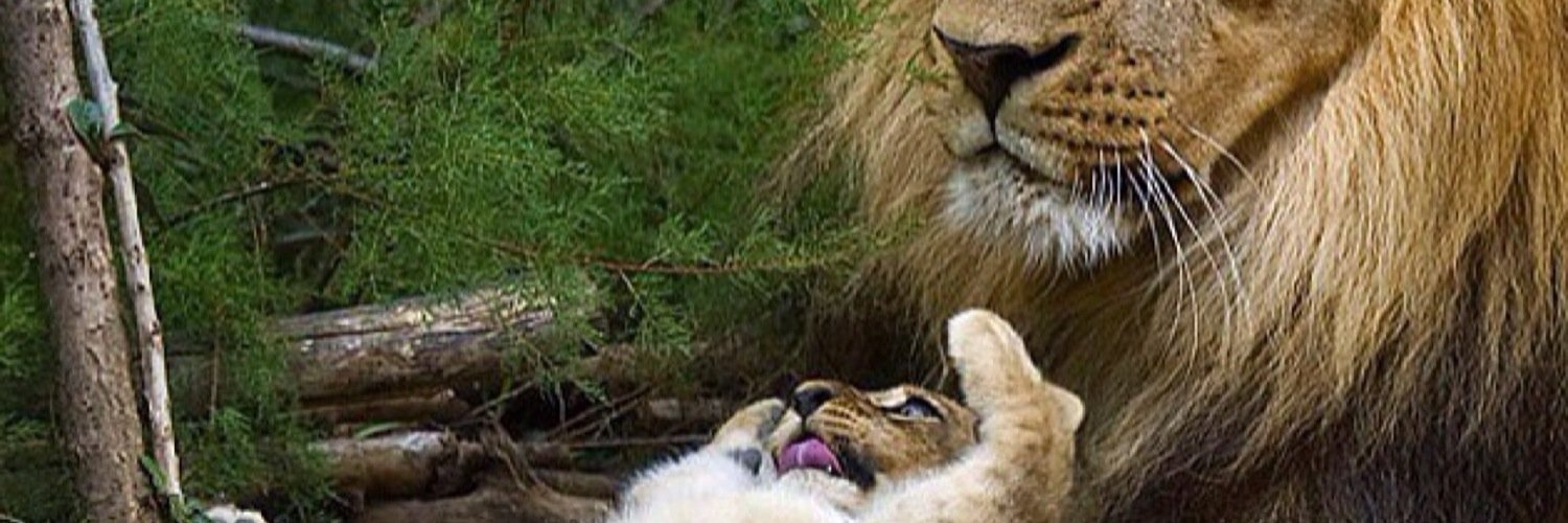 Matthew Settle banner