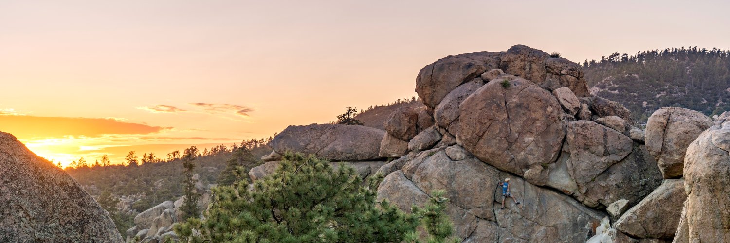 Trevor Leon banner