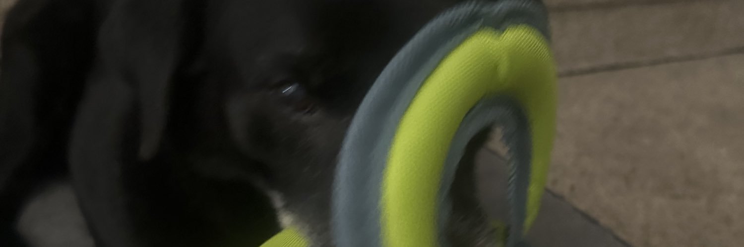 JenneyBarnhouse's profile banner image