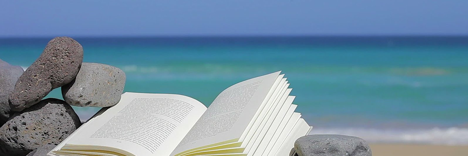 Lisa Woodbridge banner