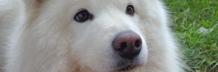 cainamonteiro's profile banner image