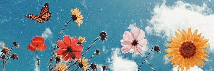 TigerSpotz's profile banner image