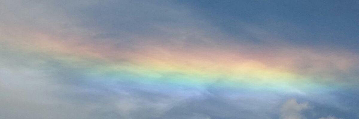 adritasal's profile banner image