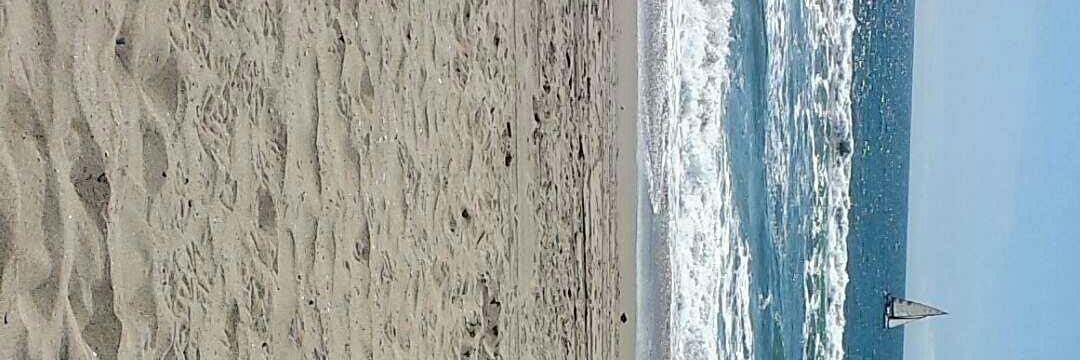 lexiana_spencer banner