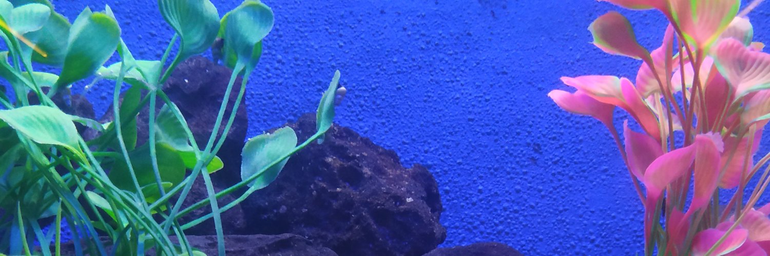 thataHein's profile banner image