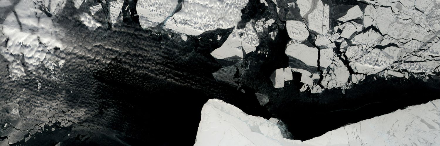 greynoji's profile banner image