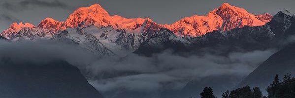 Sean Rutherford banner