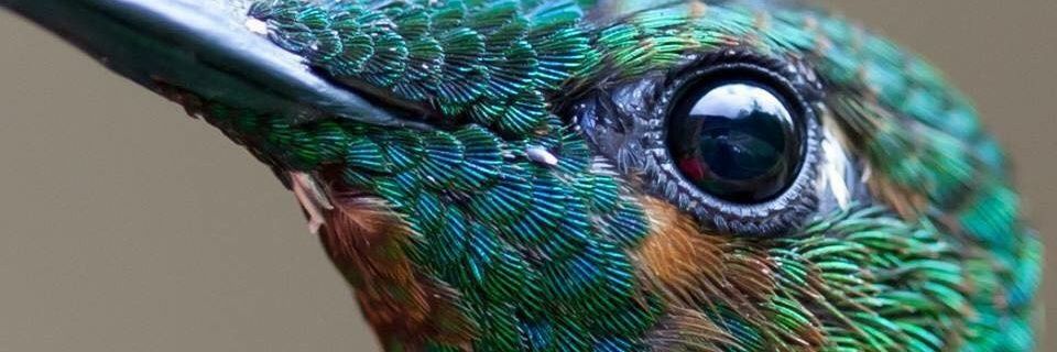 YunPrezA's profile banner image