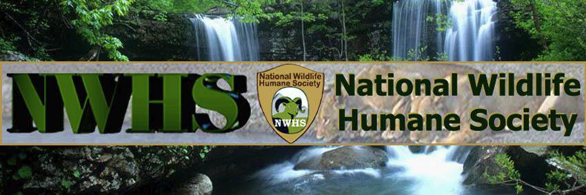 humanewildlife's profile banner image