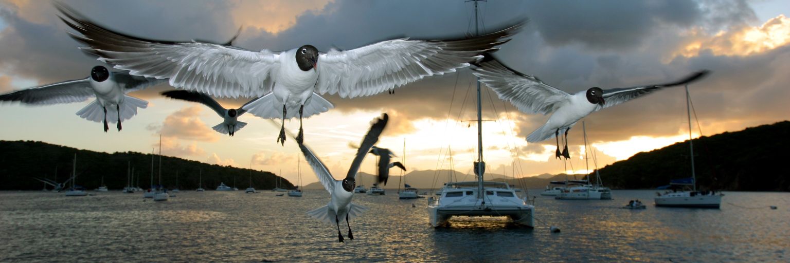 dpmikek's profile banner image