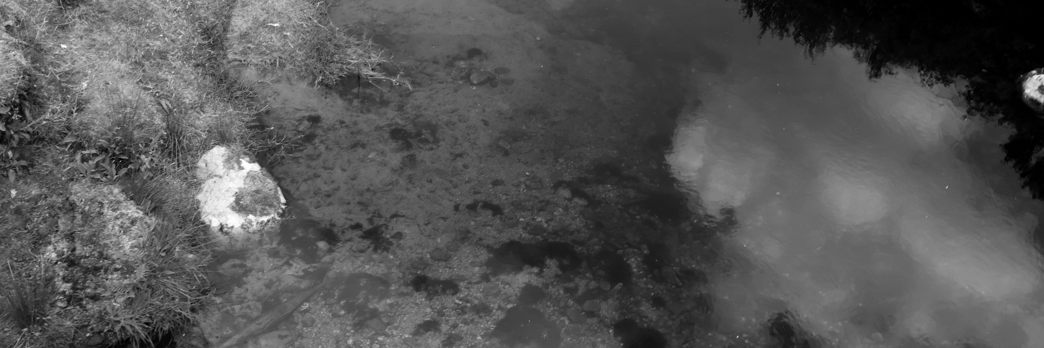 Sé Merry Doyle banner