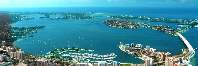 Patrick McGeehan banner