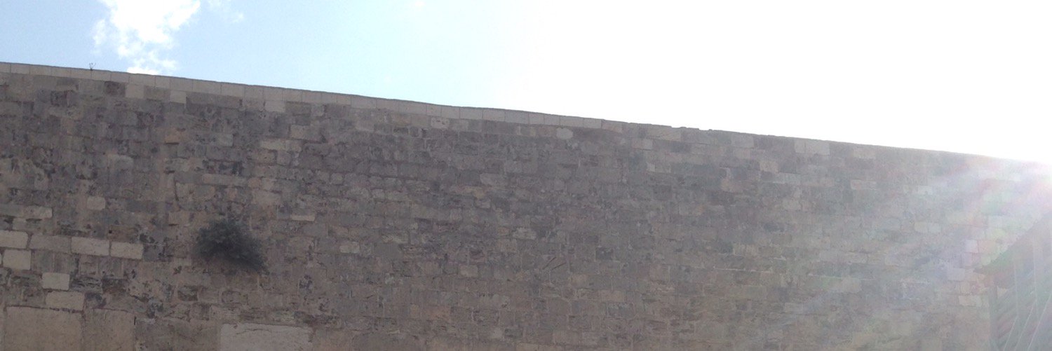 NCR31's profile banner image