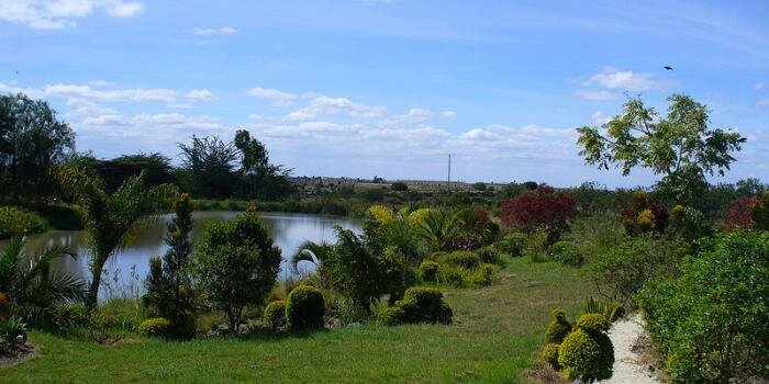 Stephanie Migot 🇰🇪 🇬🇧 banner