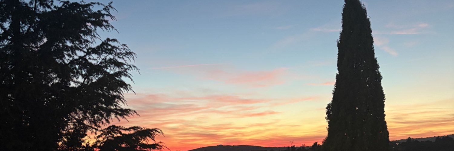sirolucas's profile banner image
