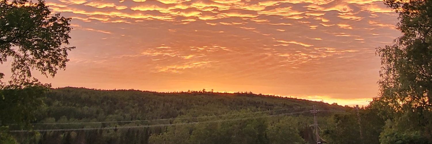 tweetartt's profile banner image