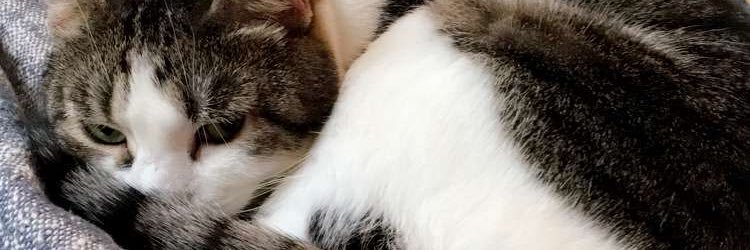andivalentin's profile banner image