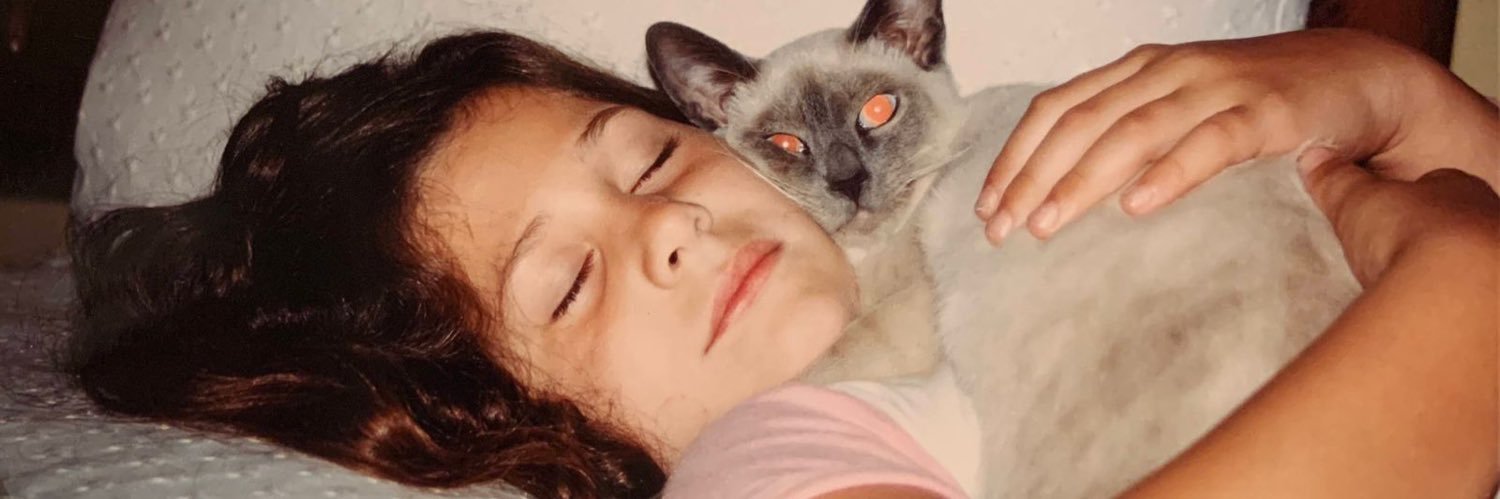 LulaLazara's profile banner image
