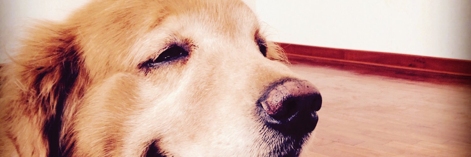 CieloBM's profile banner image