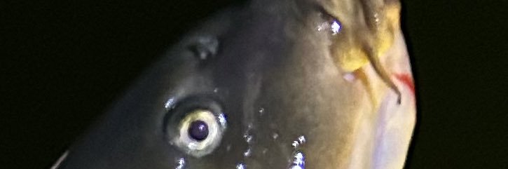 KoleBauer's profile banner image