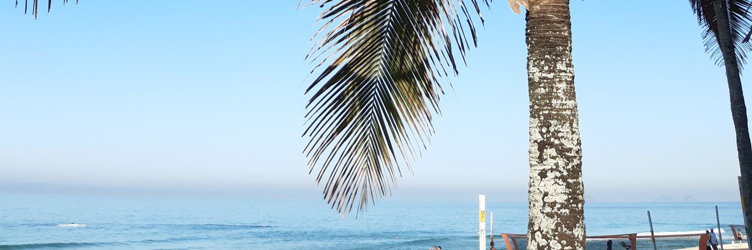 dandelmiro's profile banner image