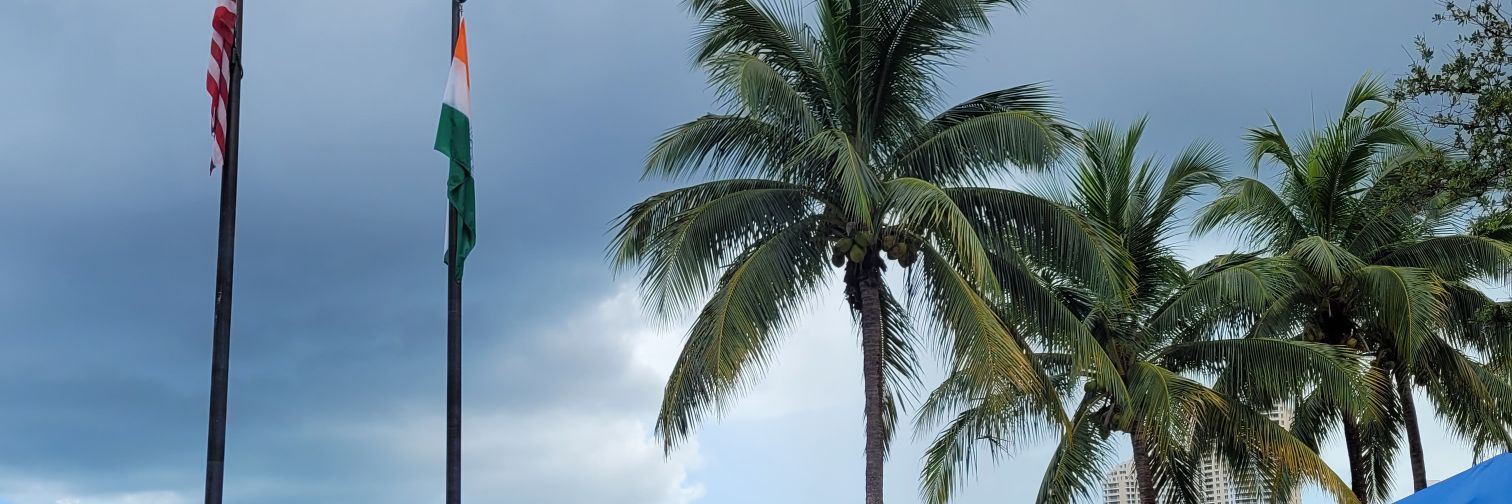 DreaBee24's profile banner image