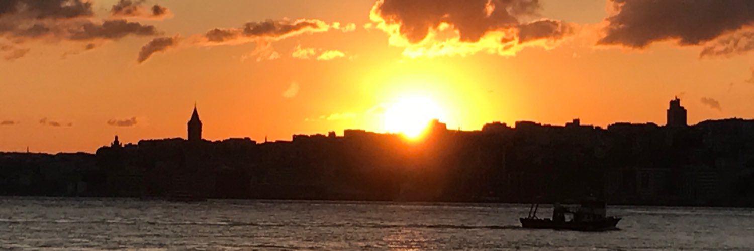 aliaskinboyali's profile banner image