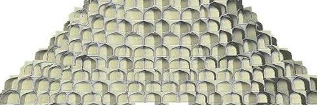 Dina Jereidini banner