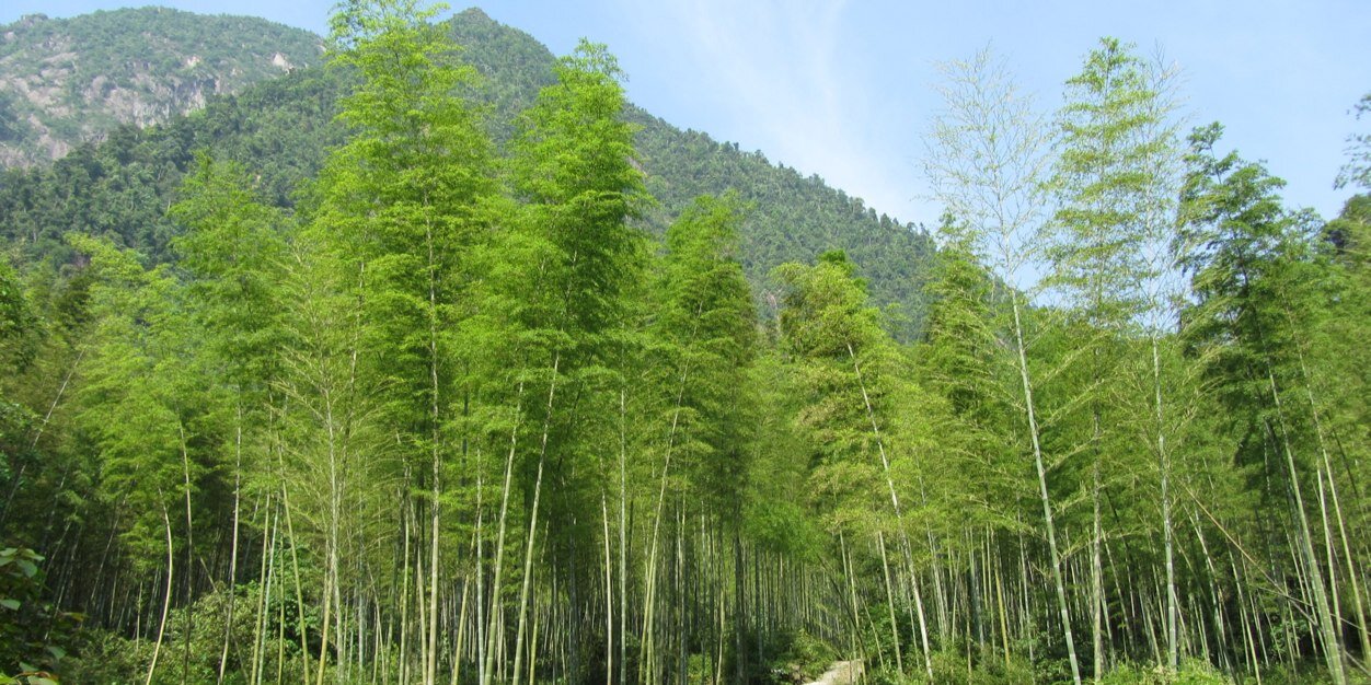 Wendy Clement banner