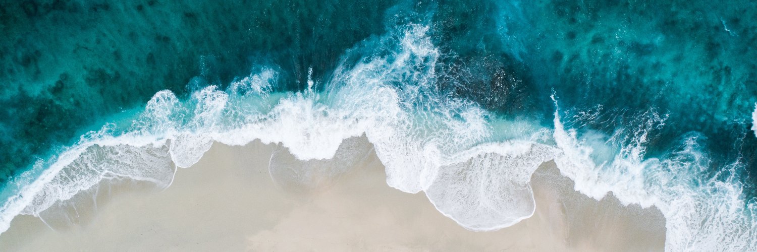 Rachel Cunliffe banner