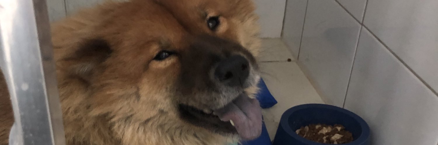 Sabrina_Costaa's profile banner image
