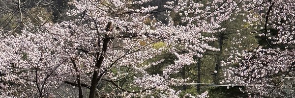 cd_damitio Profile Banner