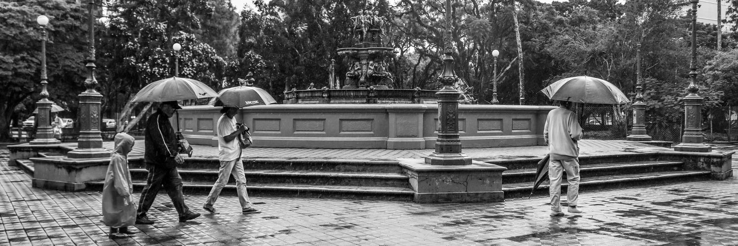 michelcorvello's profile banner image