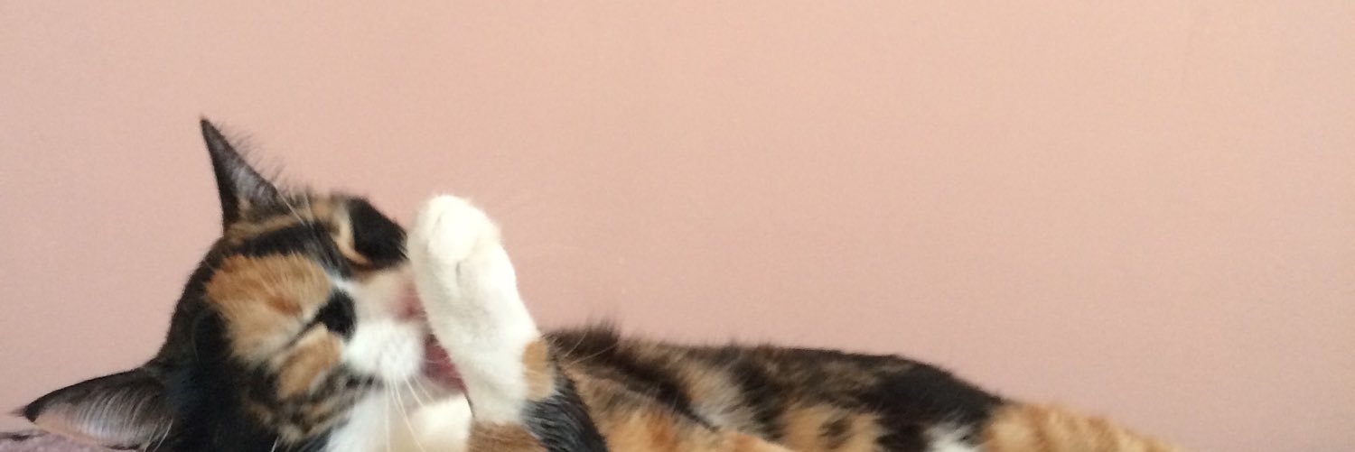 CaroleBarreto's profile banner image