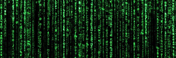 moshsrv Profile Banner