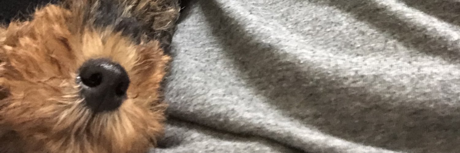 DapperPieBear's profile banner image