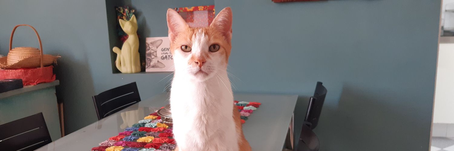 🚩Celina Schmidt🚩 banner