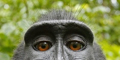 Riggyman's profile banner image