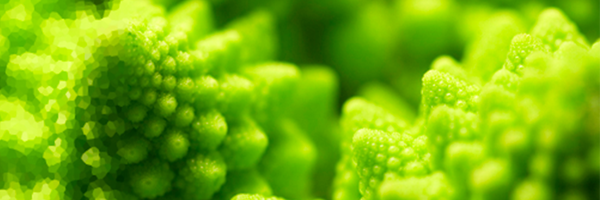 precisioncoding Profile Banner