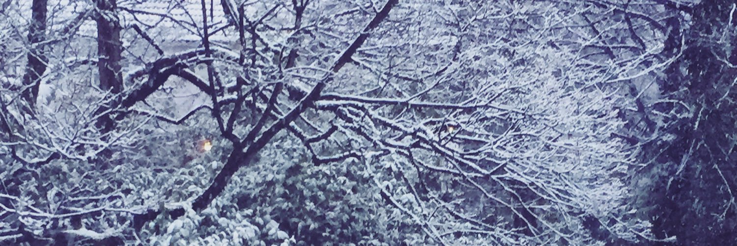 elisebloom's profile banner image