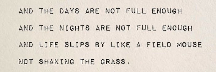 Marco Chavez Tinocco banner