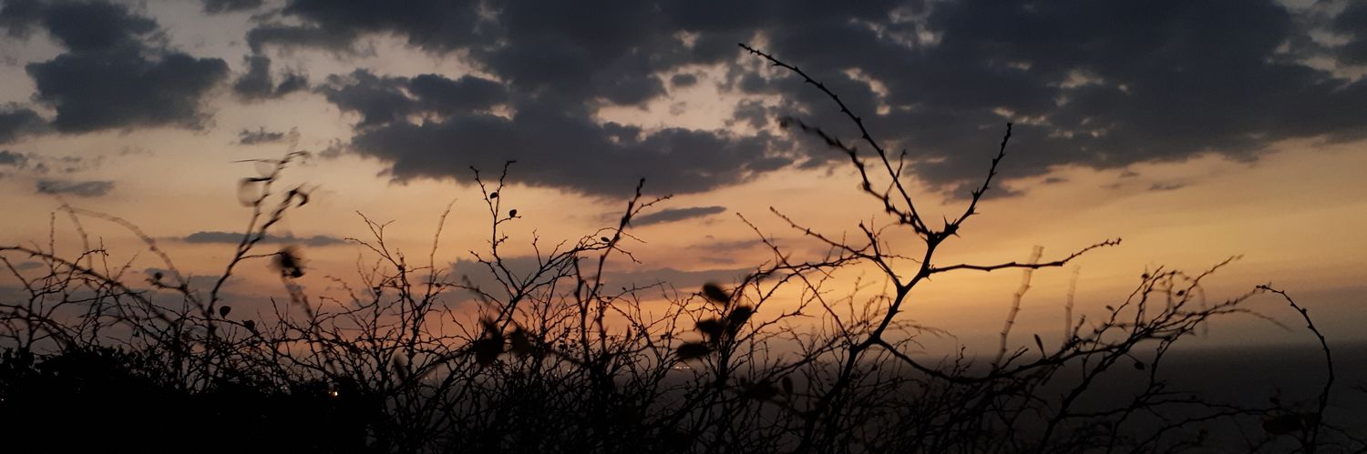 almostaboomer17's profile banner image