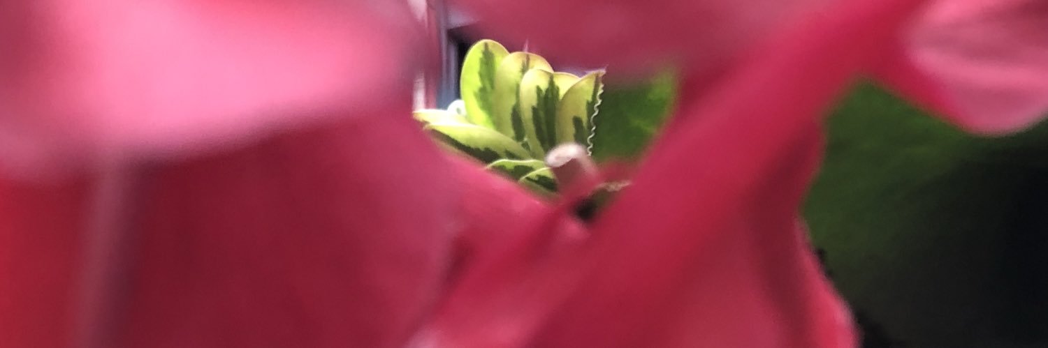 Minyahil's profile banner image