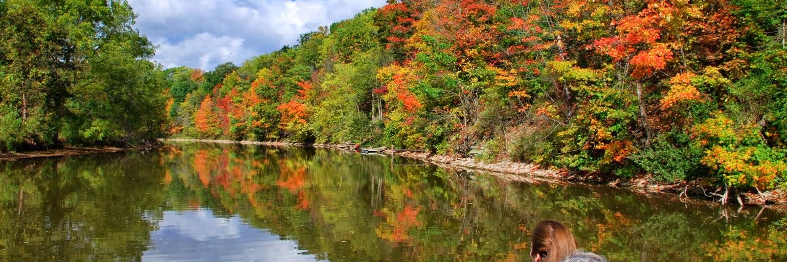 CharterAbility banner