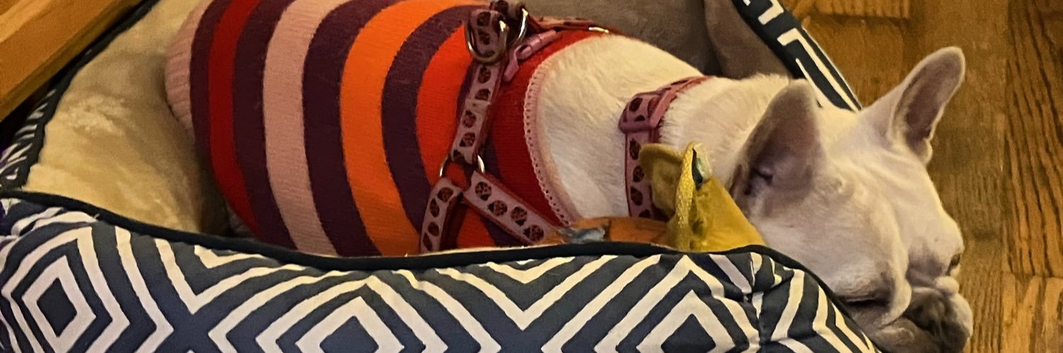 apluto's profile banner image